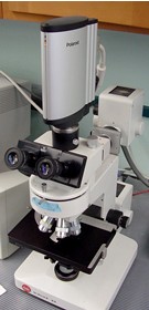 Microscope